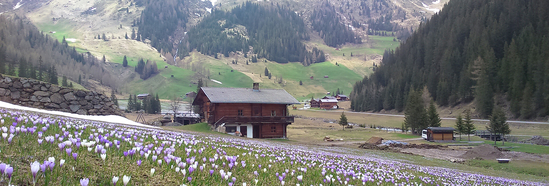 Malga Gutwenger in un mare di fiori